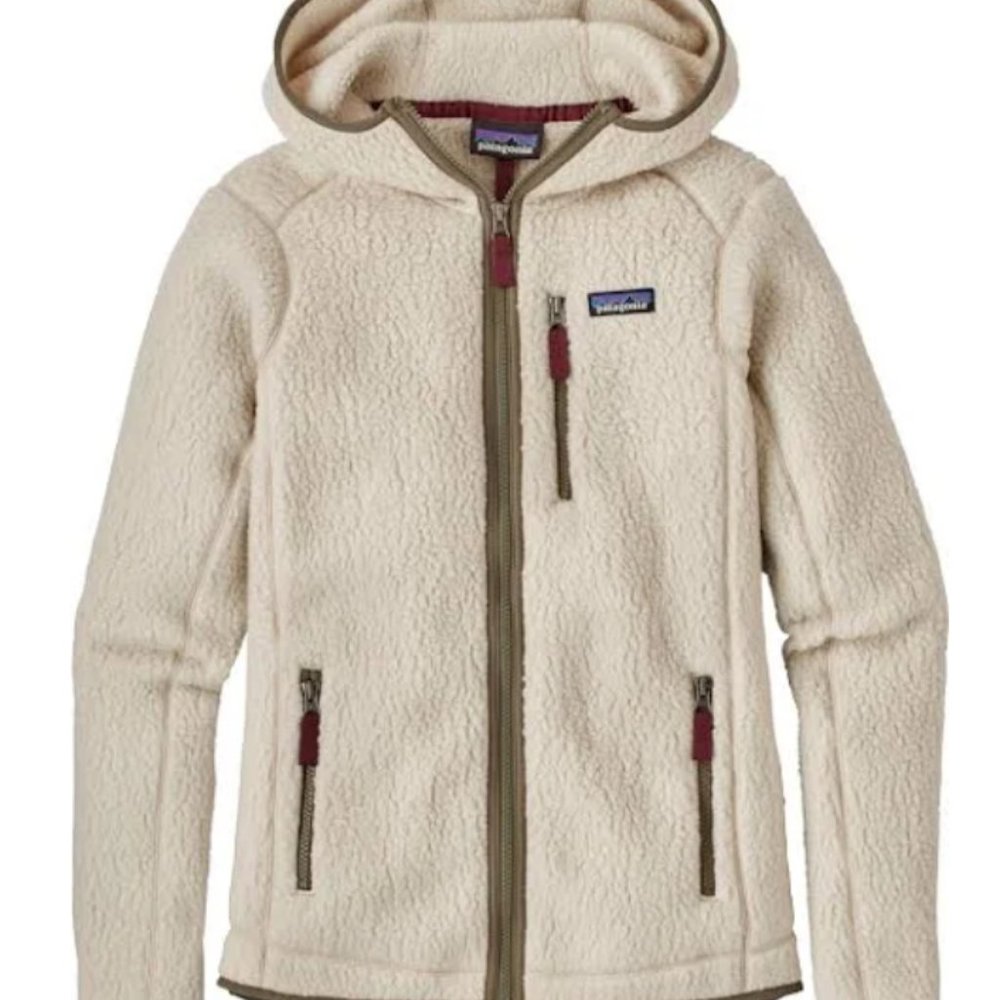 Patagonia Retro Pile Hooded Jacket